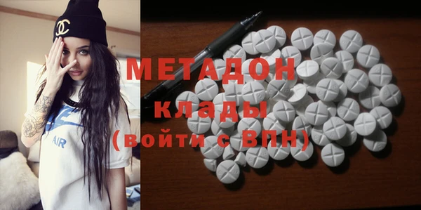 прущие грибы Абинск