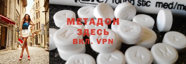 индика Алексин