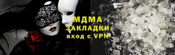 индика Алексин