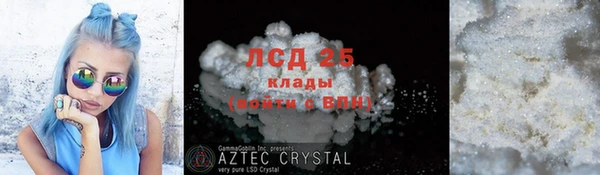 прущие грибы Абинск