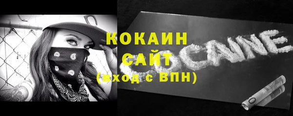 индика Алексин