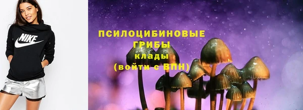 прущие грибы Абинск