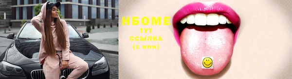 прущие грибы Абинск