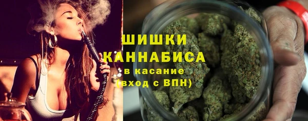 прущие грибы Абинск