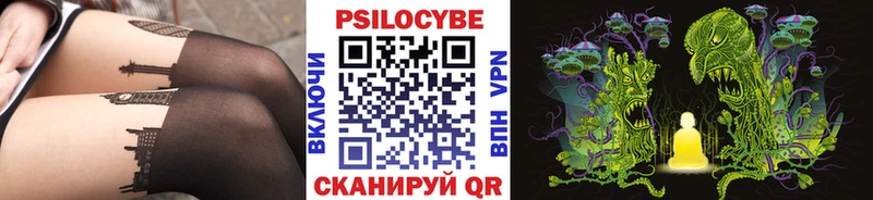 Галлюциногенные грибы MAGIC MUSHROOMS  купить наркоту  mega tor  Домодедово 